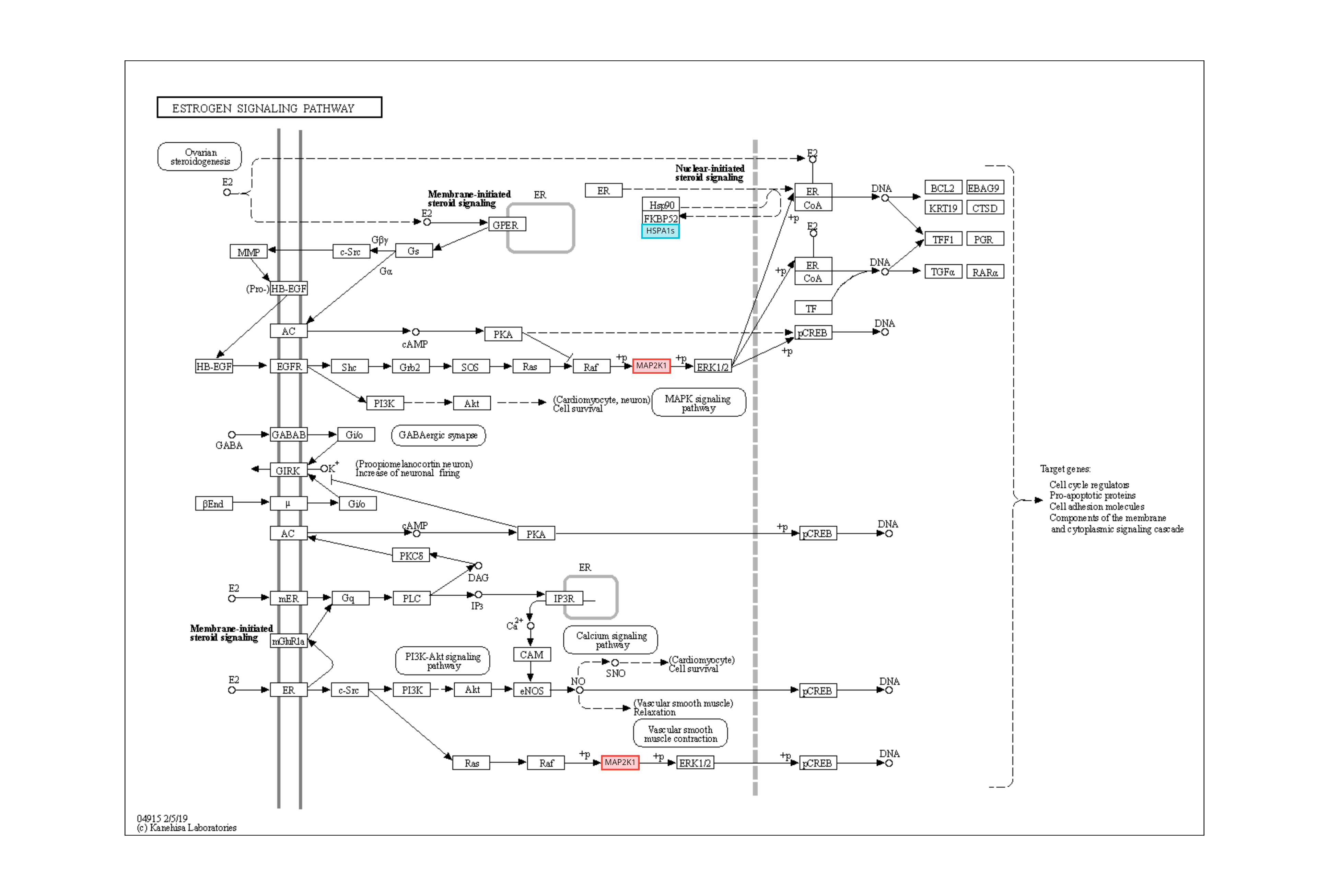 GR-MAPs | Online Genomics Resource for Medicinal and Aromatic Plants